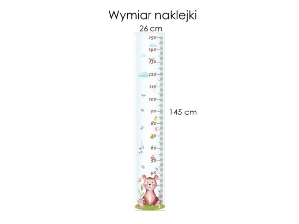 Miarka wzrostu Miś