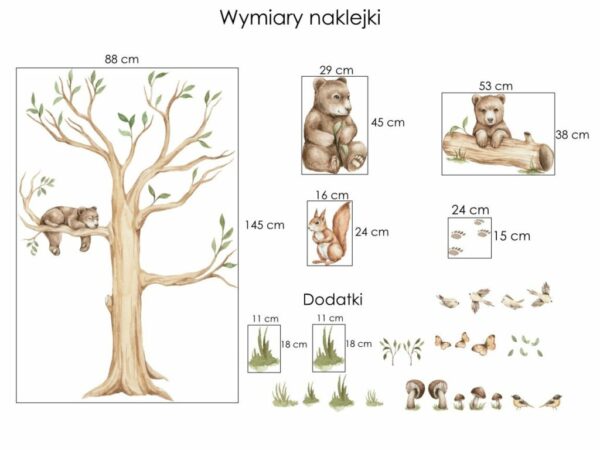 leśne zwierzęta na ścianę